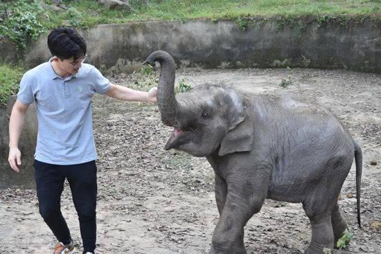 杭州动物园爆料新闻视频,神秘动物亮相引游客惊叹