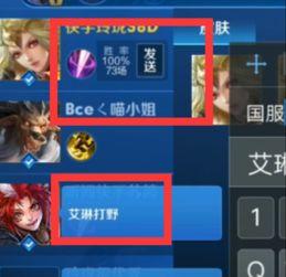 国服玄策爆料视频,揭秘神秘英雄技能与背景故事