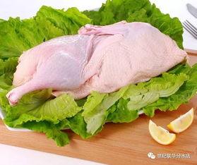 鸭片在线观看,揭秘网络短视频的狂欢与争议