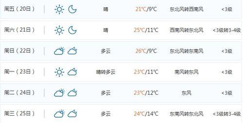 新乡今日爆料最新消息,详情揭晓！”