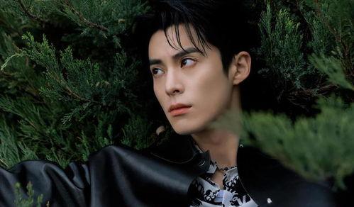 王鹤棣最新娱乐爆料,娱乐爆料揭秘他的最新生活点滴