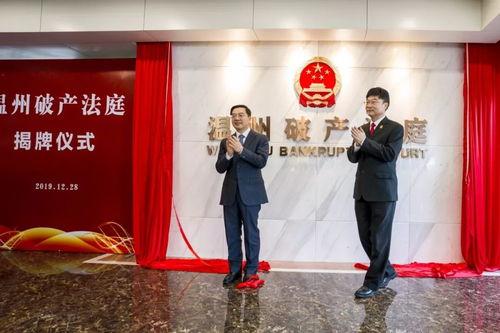 温州领导爆料新闻报道,揭开背后真相，深度解析事件始末