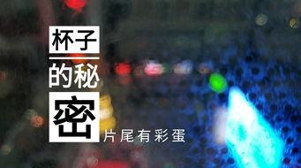 无锡饭店爆料视频大全集