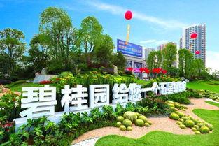 海门碧桂园爆料视频,品质生活新篇章