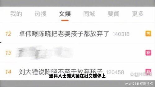 刘大锤爆料预告视频大全,揭秘幕后精彩瞬间
