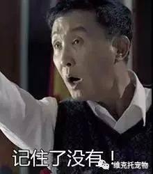 娱乐爆料君铲屎君,揭秘娱乐圈背后的温馨瞬间