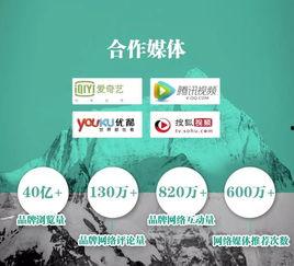 央美爆料实时新闻,揭秘艺术界神秘事件，独家报道即将揭晓